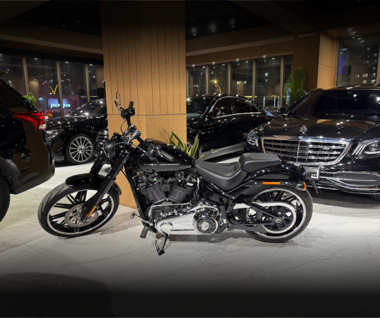 HARLEY DAVIDSON BREAKOUT114