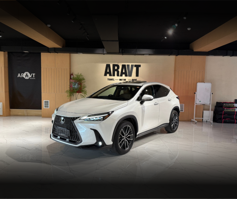 LEXUS NX250